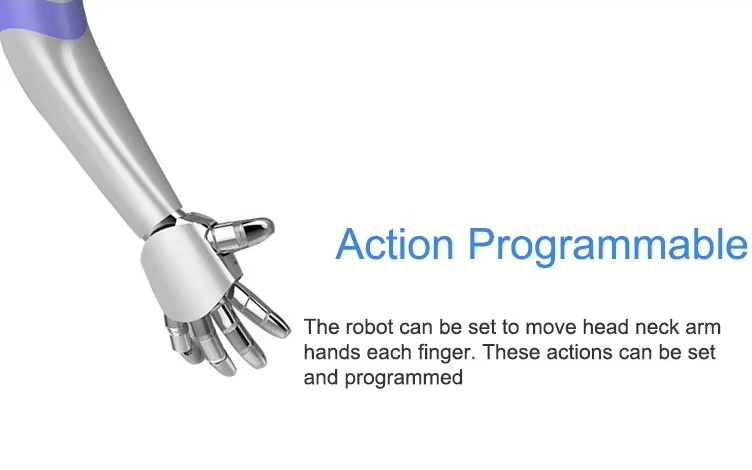 Humanoid Robots Intelligent Reception and Guidance Service Robot Educational Robot 3